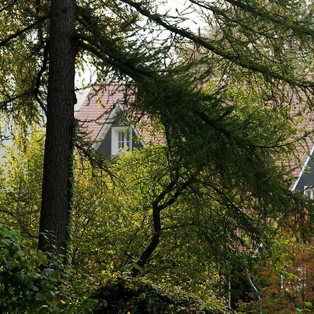 Panoramablick Appartement - Traumhaft! Ober-Hambach Eksteriør billede